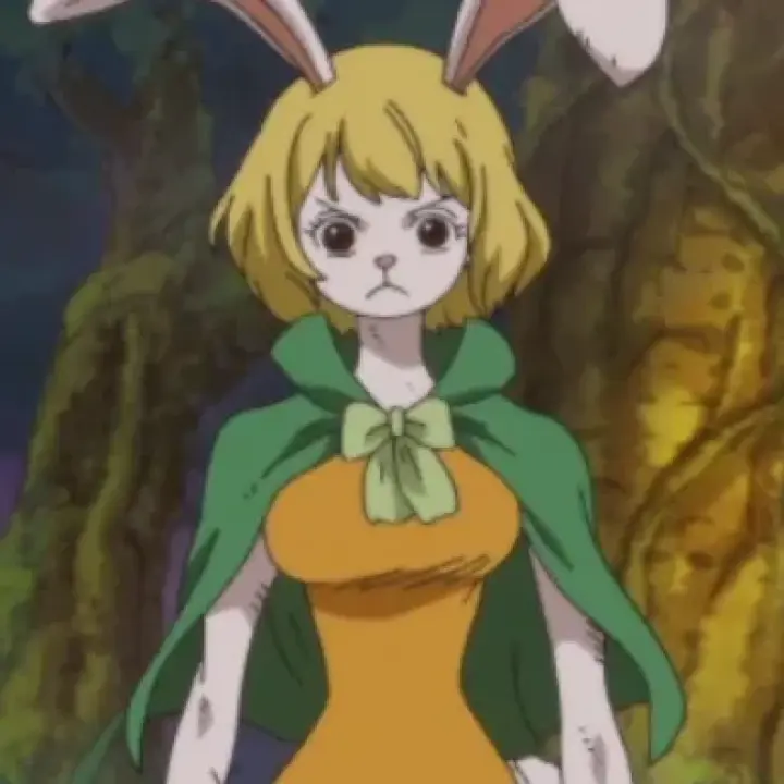 Carrot